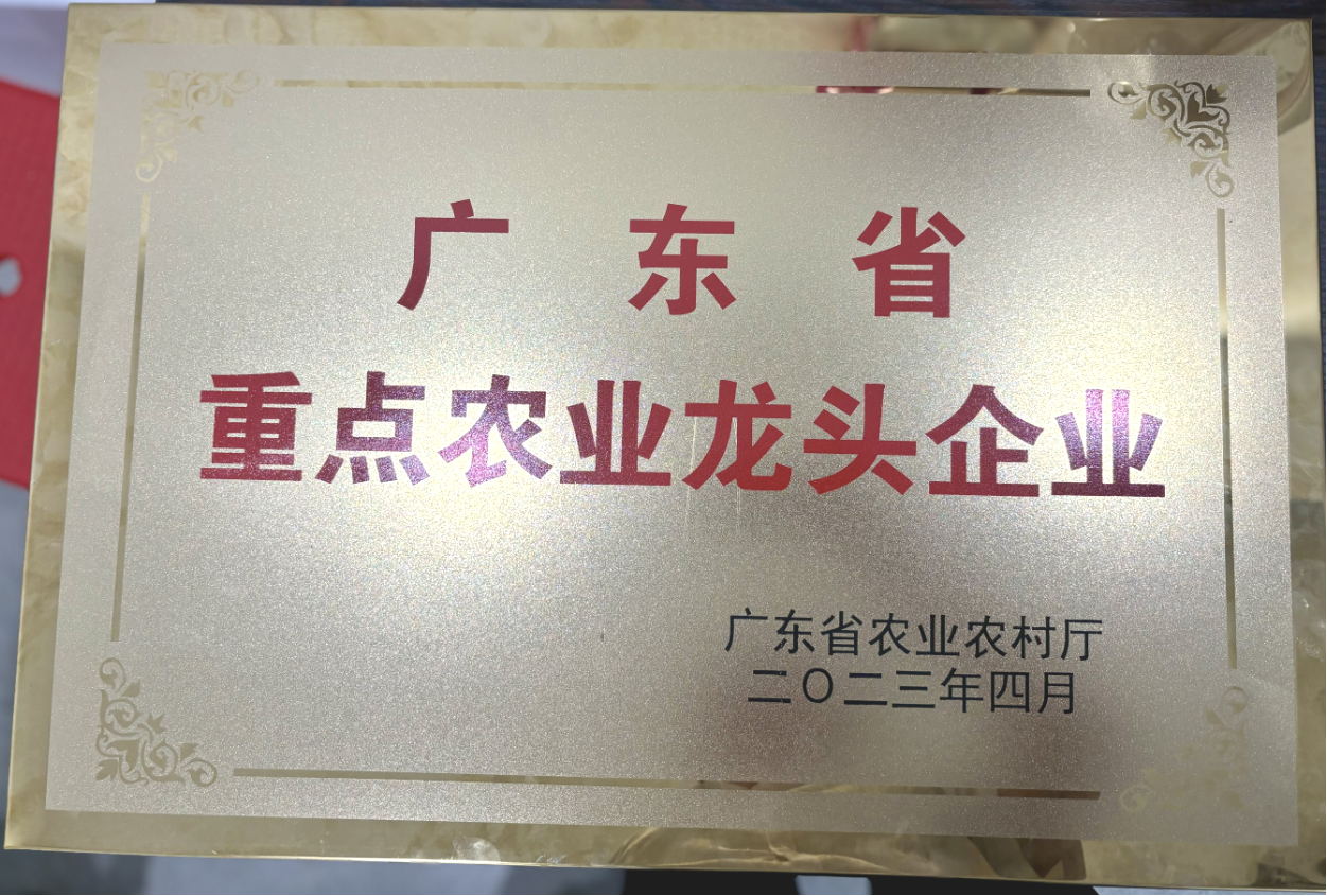 广东省重点农业龙头企业